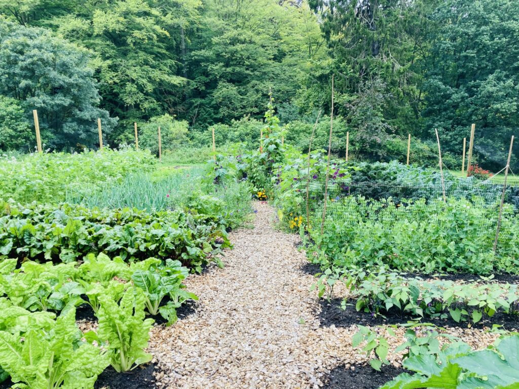 Urban farming of Lilla Änggården, Gothenburg